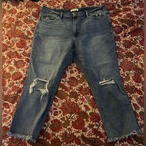 Vervet Cropped Flare Jeans